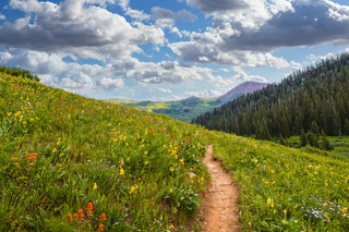 Summer in the Mountains Photos