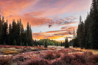 NEW Colorado Fall Landscapes 2025