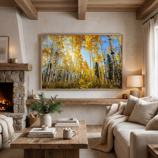 Fall Aspen Trees Wall Art - Colorado Photos - Forest near Crested Butte