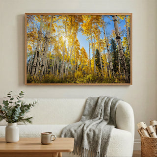 Fall Aspen Trees Wall Art - Colorado Photos - Forest near Crested Butte
