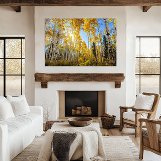 Fall Aspen Trees Wall Art - Colorado Photos - Forest near Crested Butte