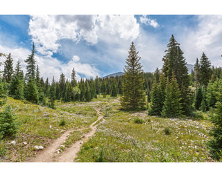 Colorado Summer Hiking Picture - Mt Sopris