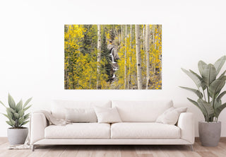 Colorado Aspen Waterfall Photography Print - Canvas Wall Art