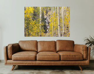 Colorado Aspen Waterfall Photography Print - Canvas Wall Art