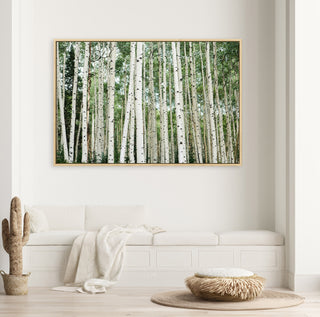 Aspen Tree Framed Wall Art - Colorado Photography