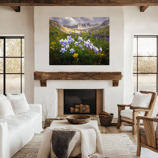 Colorado Photography - Wildflower Wall Art, San Juan Mountains