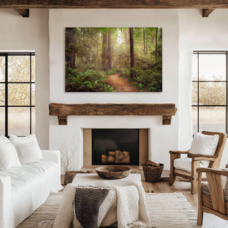 California Redwoods Forest Wall Art - Canvas or Fine Art Photography Prints