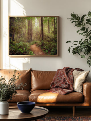 California Redwoods Forest Wall Art - Canvas or Fine Art Photography Prints