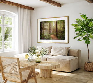 California Redwoods Forest Wall Art - Canvas or Fine Art Photography Prints