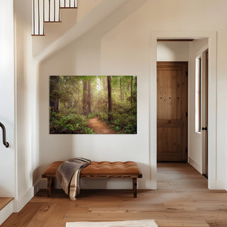 California Redwoods Forest Wall Art - Canvas or Fine Art Photography Prints