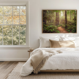 California Redwoods Forest Wall Art - Canvas or Fine Art Photography Prints