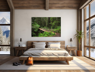 California Redwood Photo - Canvas Art Print - Jedediah Smith Forest Bridge - National Park - Large Wall Art - Nature Landscape Photography
