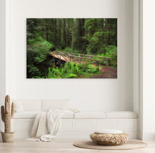 California Redwood Photo - Canvas Art Print - Jedediah Smith Forest Bridge - National Park - Large Wall Art - Nature Landscape Photography