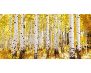 Golden Aspen Tree Panoramic Wall Art - Aspen Canvas Art Prints - Long Narrow Wall Art Print - Large Photo Print &nbsp;- Home Office Decor