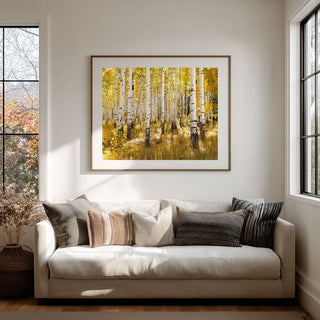 Large Wall Art Print: Fall Aspen Forest