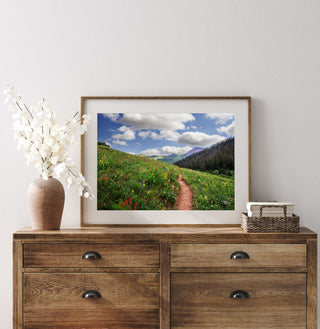 Colorado Wildflowers Wall Art - Mountain Photo - West Maroon Pass - Crested Butte - Hiking Path Photo - Nature Lover Gift