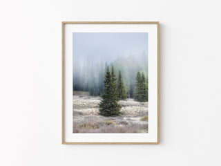 Winter Forest Canvas Print, Neutral Landscape Wall Art, Nature Photography for Cabin, Mountain Lodge, or Holiday Gift
