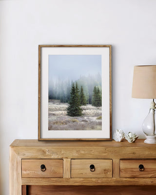 Winter Forest Canvas Print, Neutral Landscape Wall Art, Nature Photography for Cabin, Mountain Lodge, or Holiday Gift