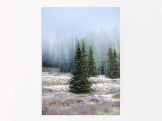 Winter Forest Canvas Print, Neutral Landscape Wall Art, Nature Photography for Cabin, Mountain Lodge, or Holiday Gift