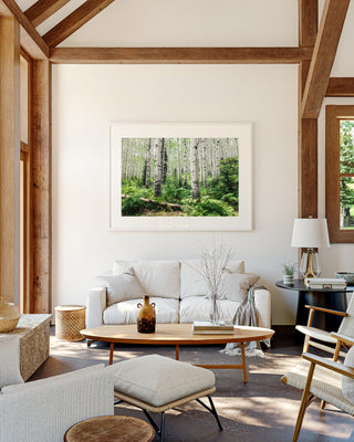 Summer Aspen Tree Trunks - Forest Wall Art -  Colorado Landscape Photography