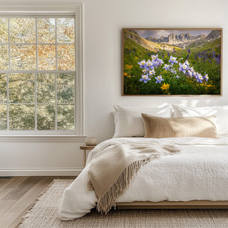 Colorado Wildflower Wall Art Print