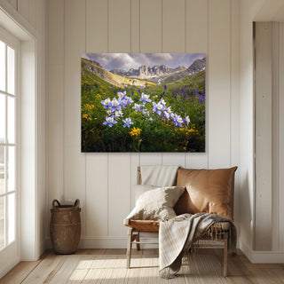 San Juan Mountains Wall Art Print