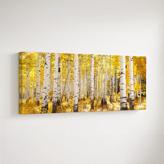 Colorado Fall Aspen Forest: Canvas Wall Art Print