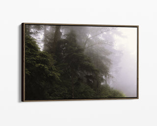 Oregon Woods Framed Canvas Wall Art - Pine Trees Coastal Forest - Nature Photography for Home or Office Decor