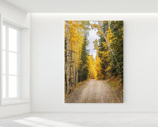 Forest Road and Fall Aspen Trees, Colorado Photography, Canvas Wall Art for Home Decor