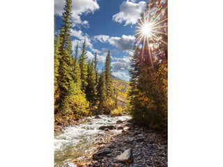 Colorado Rocky Mountains, River Art Print, Photography, Nature Landscape Wall Art, Forest Print, Nature Wall Art