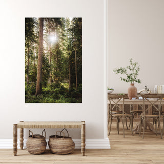 Colorado Pine Tree Forest Wall Art, Nature Photography, Extra Large Art, Living Room Bedroom Canvas, Art Print, Nature Wall Art