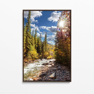 Colorado Rocky Mountains, River Art Print, Photography, Nature Landscape Wall Art, Forest Print, Nature Wall Art