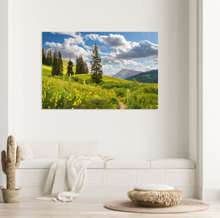 Colorado Mountain Wildflowers Landscape - Crested Butte Wall Art, Rocky Mountains, Nature photography, Art Print, Canvas, Nature Wall Art