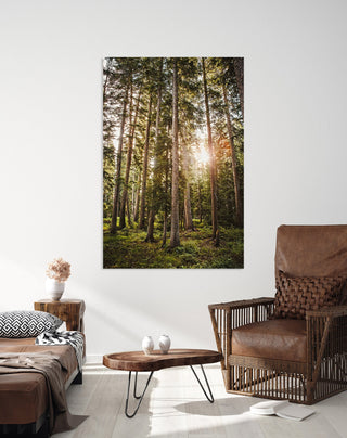 Pine Trees Forest Wall Art, Colorado Nature Photography, Canvas wall art