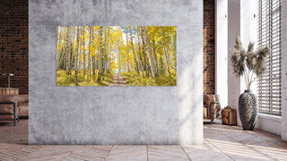 Panoramic Aspen Tree Wall Art, Birch Tree Art Print, Gallery Wrapped Canvas, Colorado nature photography, long narrow art, Nature Wall Art