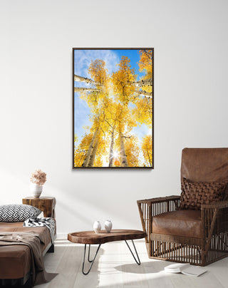 Yellow Aspen Birch Tree Wall Art, Colorado Landscape Canvas, Nature Photography, Forest, Trees, Nature Wall Art
