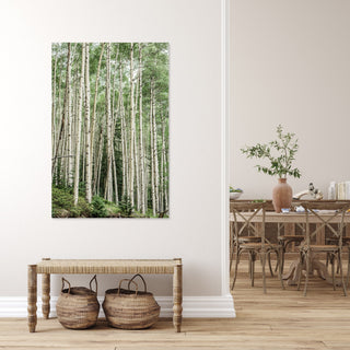 Green Aspen Tree Wall Art, Aspen Photo Print, Colorado Aspen Canvas, Landscape, Nature Photography, Forest Art Print