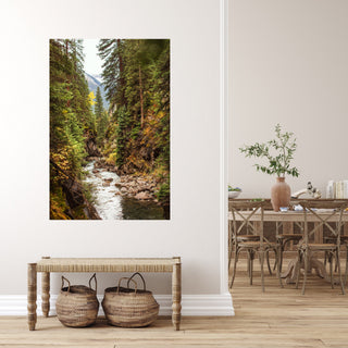 Pine Tree Forest, Wall Art Canvas, Mountain River, Colorado, Nature Wall Art