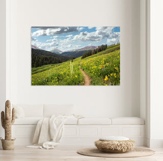 Rocky Mountain Hiking Photo, Colorado Wall Art, Summer Wildflowers and Blue Sky, Nature Home Decor
