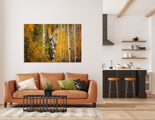 Colorado Fall Aspen Trees and Waterfall, Birch Tree Wall Art, Forest Art Print, Home Decor, Nature Wall Art, Aspen Tree Wall Art