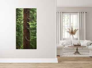 Long Narrow Forest Wall Art, Extra Large Canvas Art Print, Nature Photography, Colorado Pine Trees, Nature Wall Art