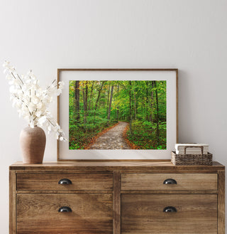 Peaceful Forest Wall Art, Tree Lined Path Canvas Print, Nature Photography, Nature Wall Art