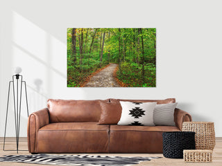 Peaceful Forest Wall Art, Tree Lined Path Canvas Print, Nature Photography, Nature Wall Art