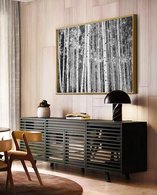 Colorado Aspen Trees in Black and White: Extra Large Wall Art, Up to 40x60 Canvas Print