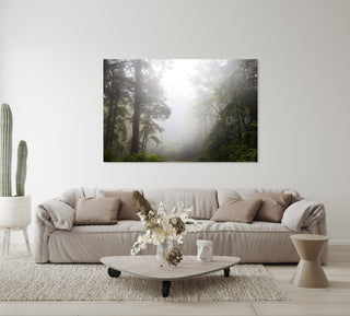 Foggy Coastal Forest Wall Art - Extra Large Canvas for Home Decor