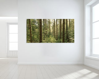 Panoramic Oregon Forest Photo, Canvas Wall Art or Photo Print