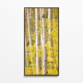 Long, Narrow Framed Aspen Tree Wall Art - Canvas or Fine Art Photo Print