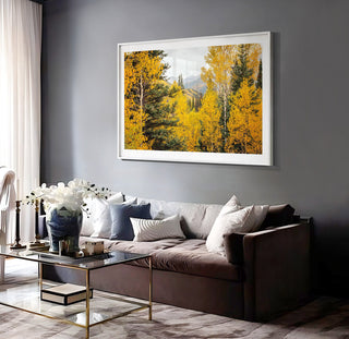 Colorado Aspens, Mountain Wall Art Prints, Yellow Fall Aspen Trees Forest Landscape, Rustic Home Decor, Canvas Wall Art, Nature Photography