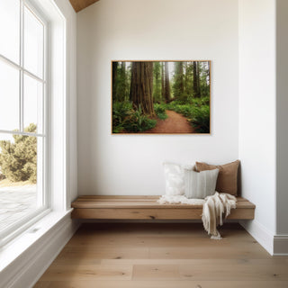 California Redwood Forest Wall Art Print, Jedediah Smith, Landscape Photography Canvas, Home Office Decor, Wall Decor, Fine Art