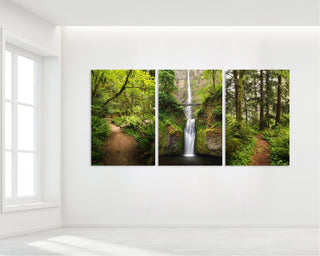 Nature Gallery Wall Art Prints, 3 Piece Wall Art, California Redwoods, Columbia River Gorge Oregon